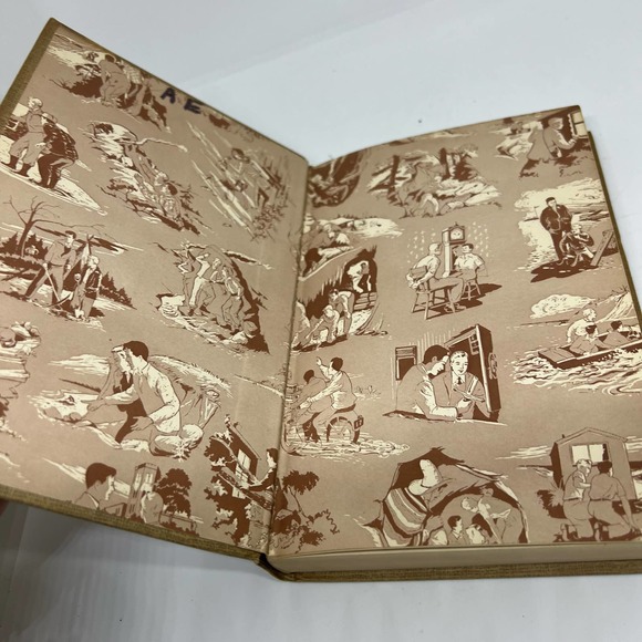 The Secret of Wildcat Swamp by Franklin Dixon - Picture 3 of 8